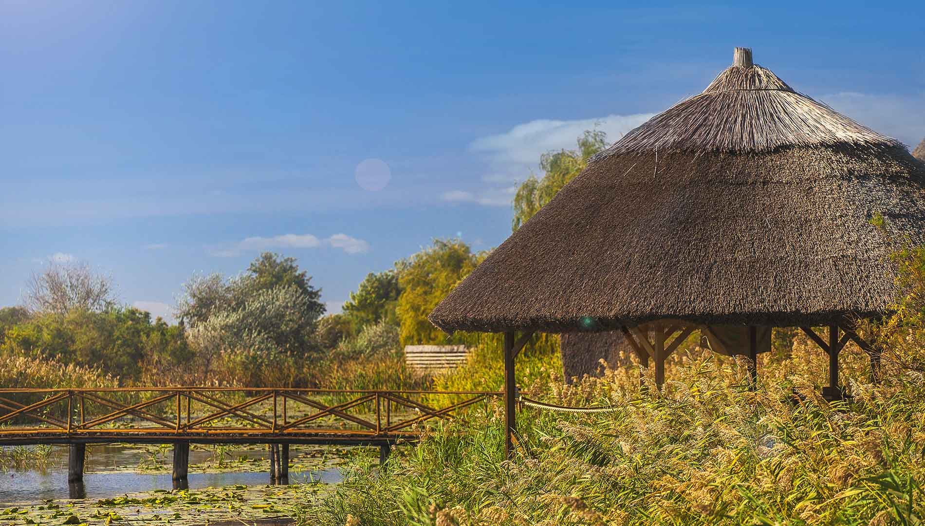 Green Village Resort — Delta Dunării — 1