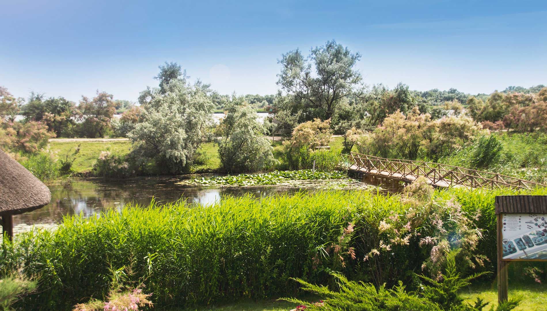 Green Village Resort — Delta Dunării — 19